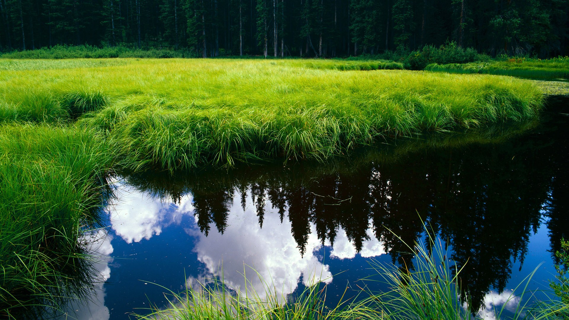 日本队多次打破对方防线，日本队打法