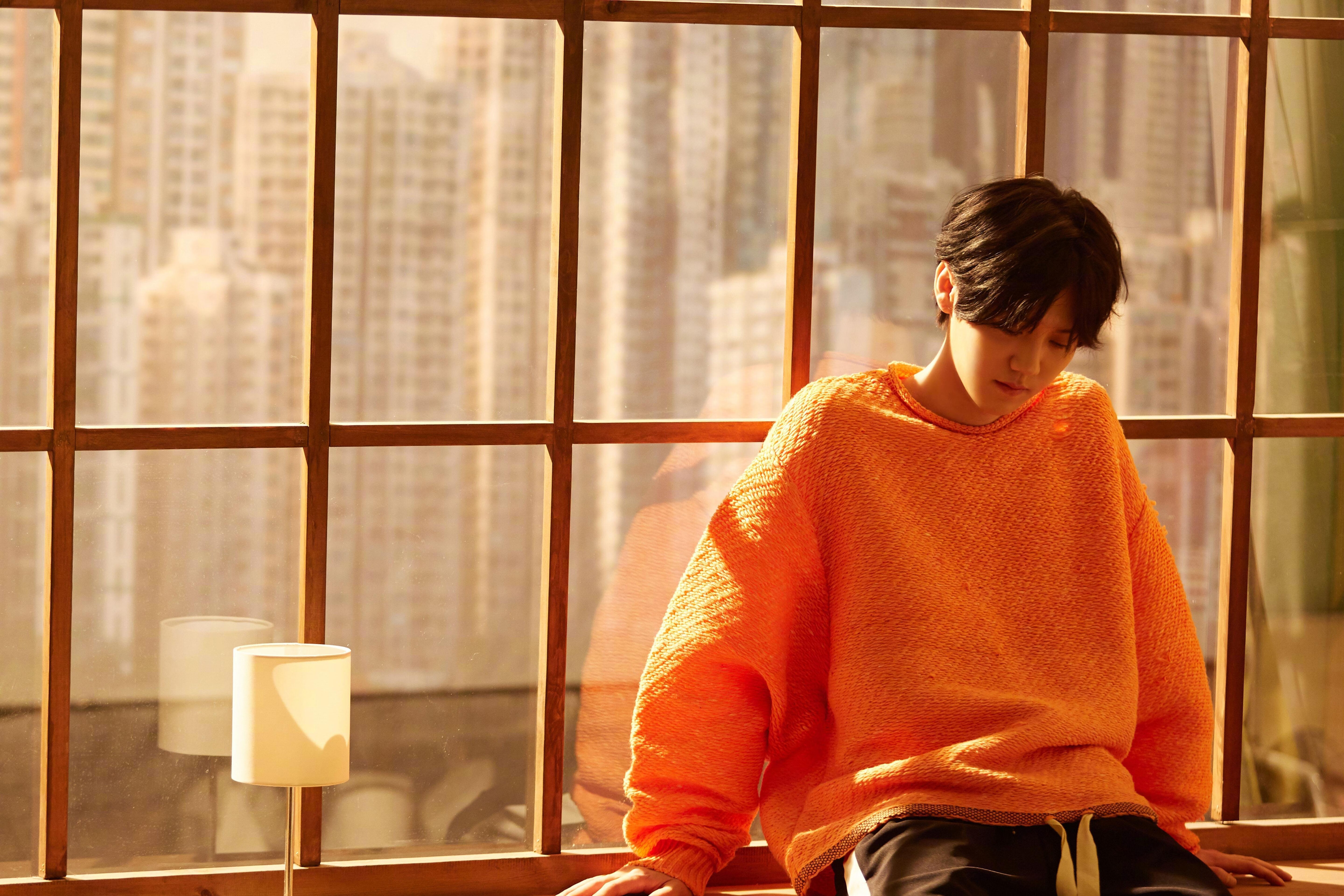 瑞士队奋勇向前,意志坚定,瑞士队徽