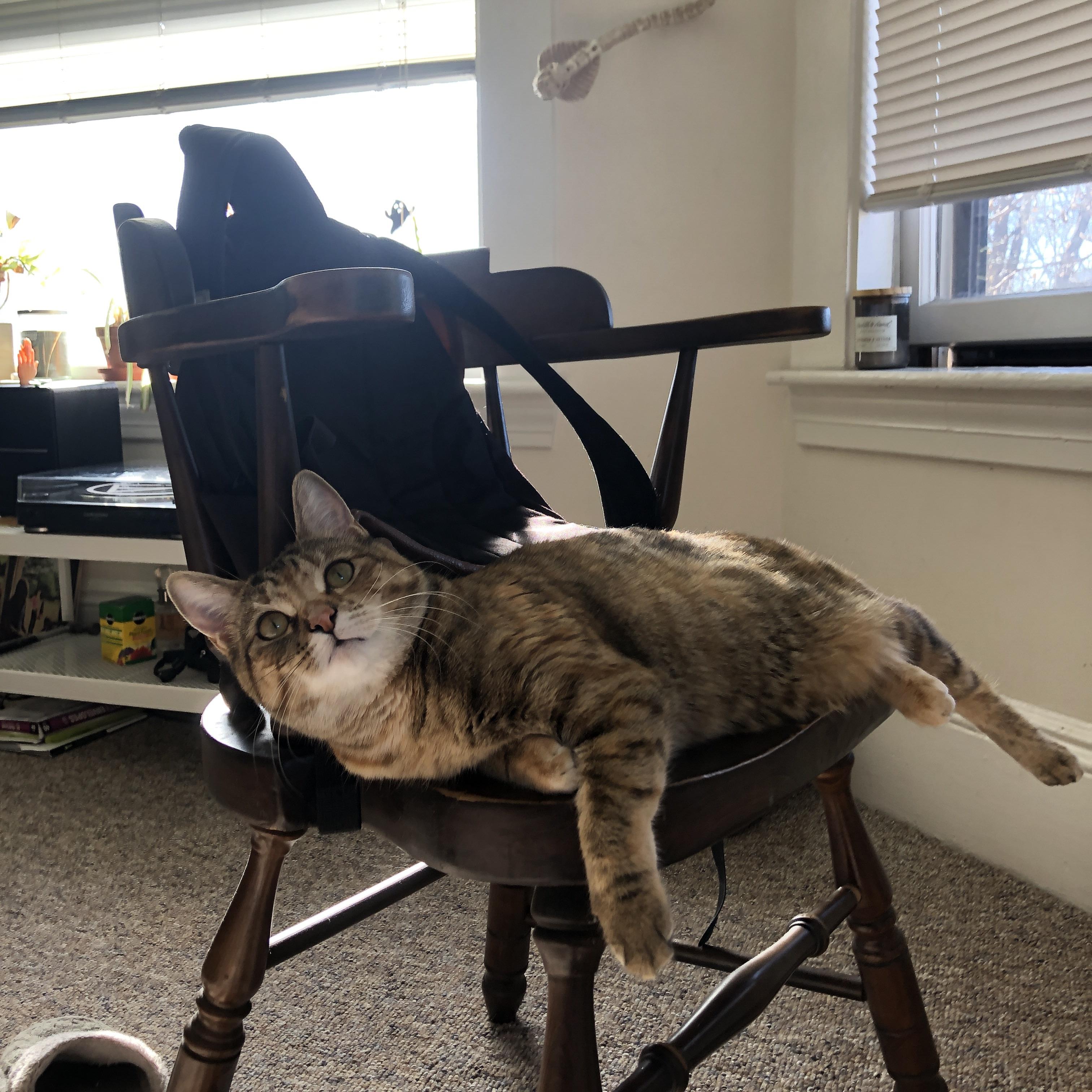 瓦拉多利德遭遇双杀，主帅下课球队重塑信心，瓦拉多利德对莱万特