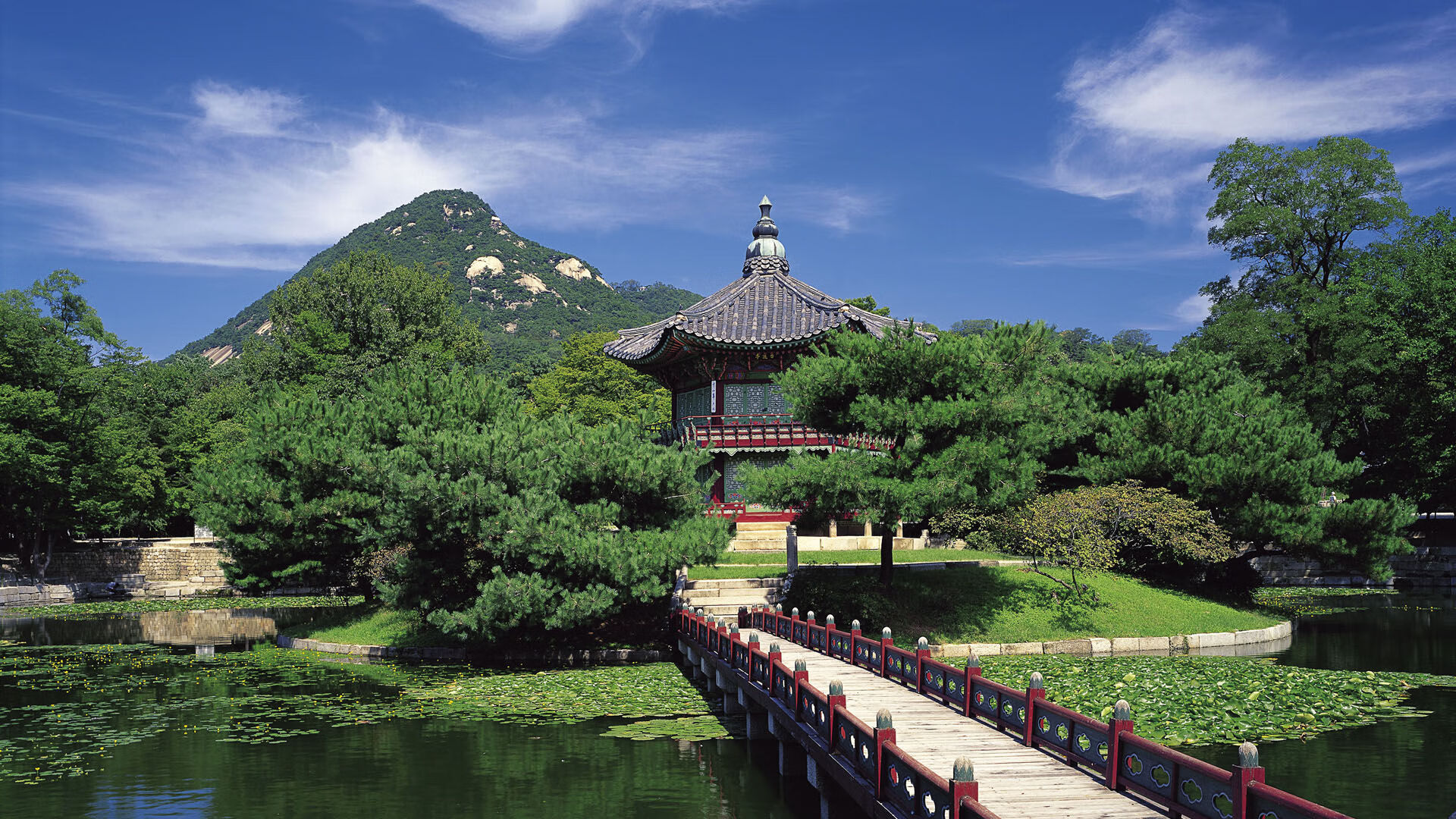 中国篮球职业联赛市场营销创新策略及品牌建设研究,篮球比赛营销方案