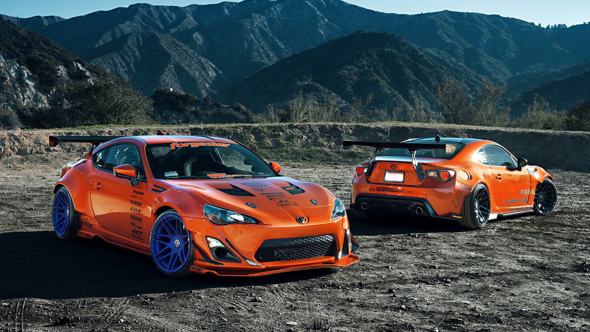 现场直击：赛场中的感人瞬间与球迷热情，足球赛场上的感人瞬间