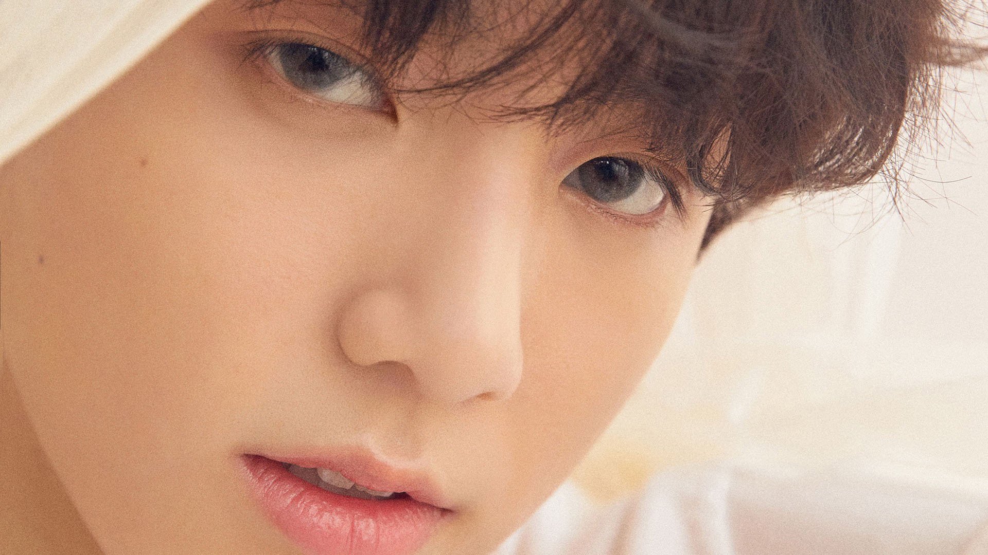 仰泳冲刺比利时女将稳中有升,仰泳国际比赛视频