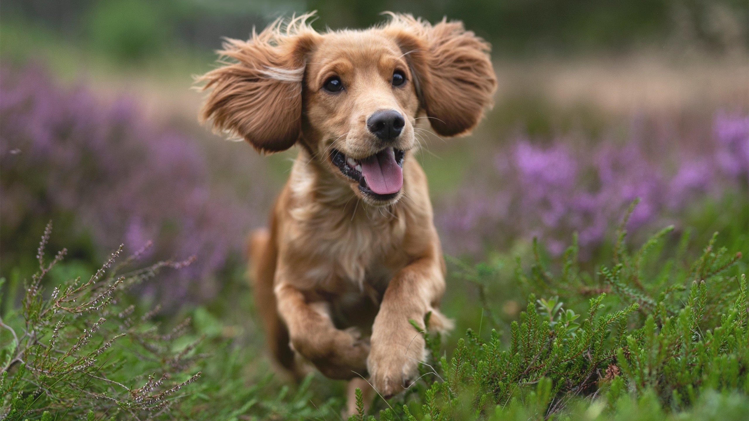 战术纪律执行严谨防守体系形成闭环有效限制对手进攻,紧闭防守