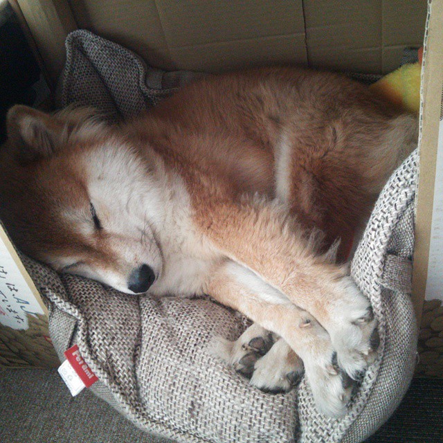 开云下载-掘金阵容深度受到联盟高层一致认可，掘金队阵容名单最新