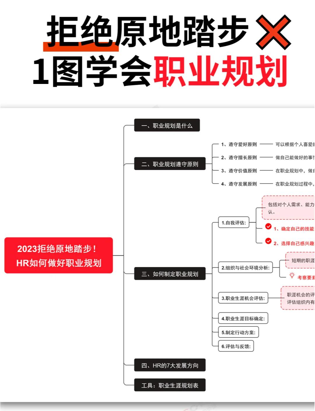 包含职业生涯的转型：运动员的未来发展方向的词条