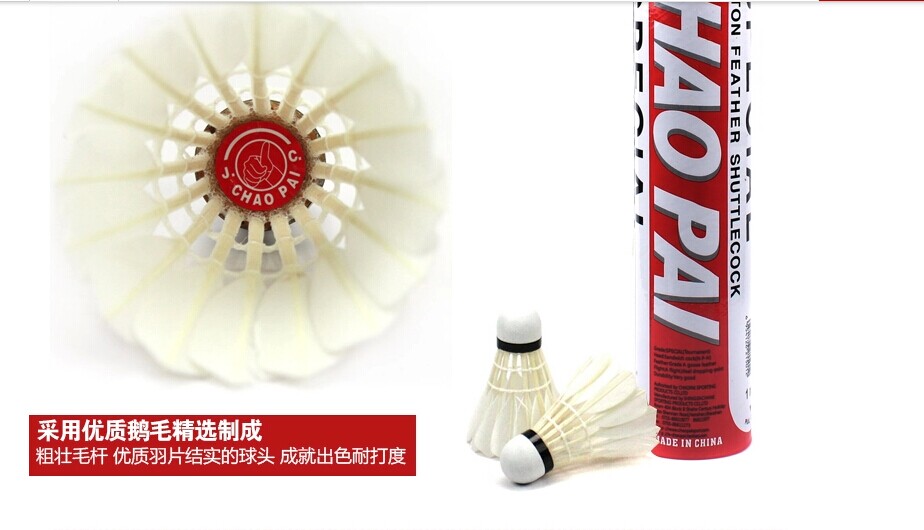 包含最新羽毛球科技产品对比赛的影响评估的词条